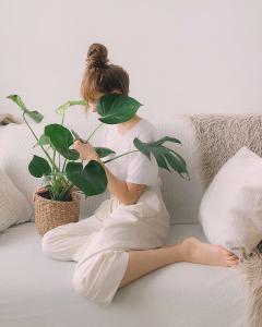The Ultimate Guide to Watering Your Monstera - Monstera Plant Resource