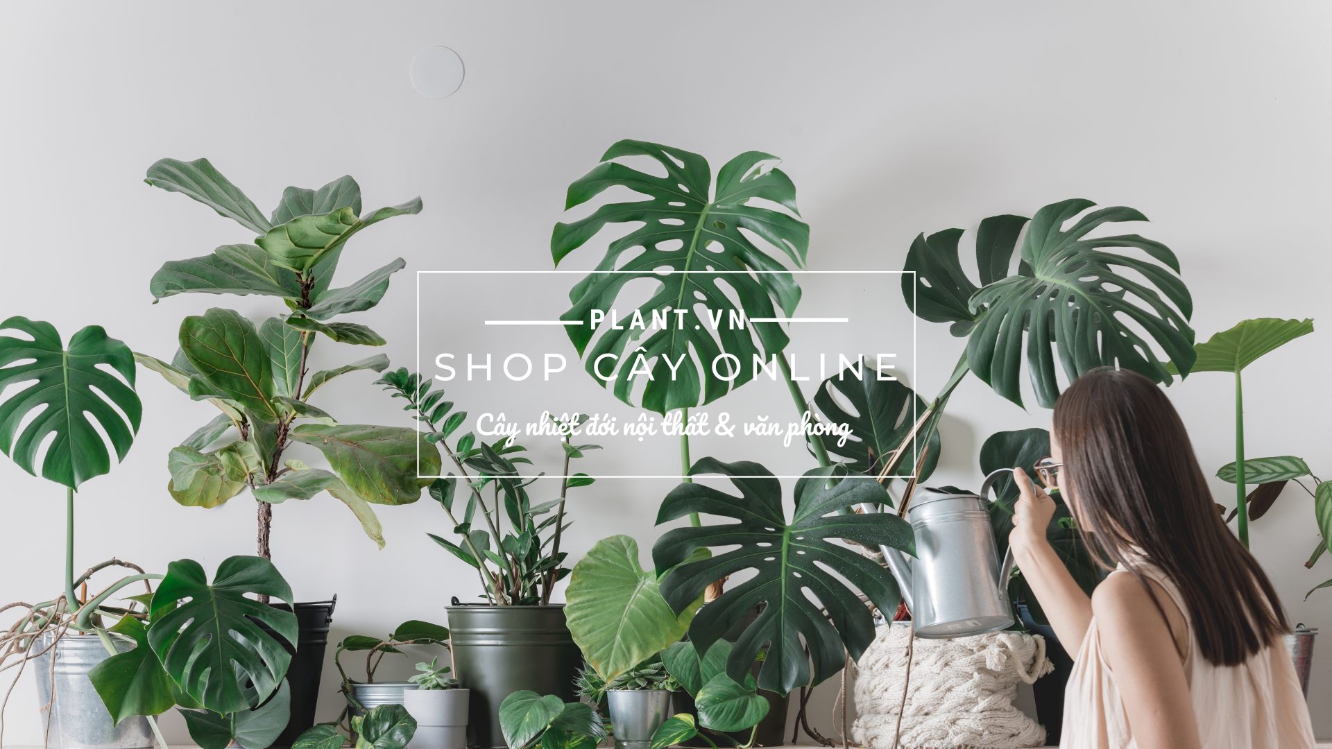 Shop cây online plant.vn